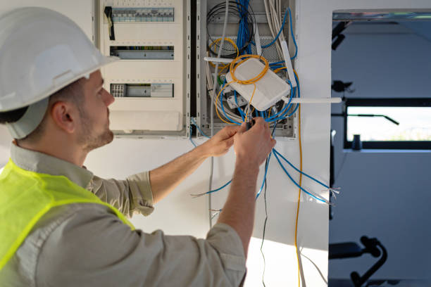 Best Electric Panel Repair  in Affton, MO